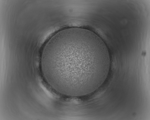 X0000113330683200909211220