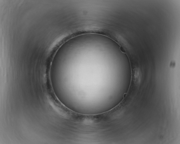 X0000113330684200909211220