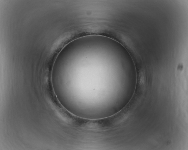 X0000113330685200909211220