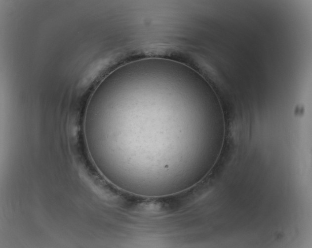 X0000113330687200909211220