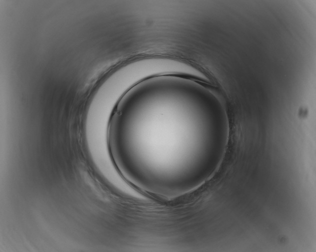 X0000113330688200909211220