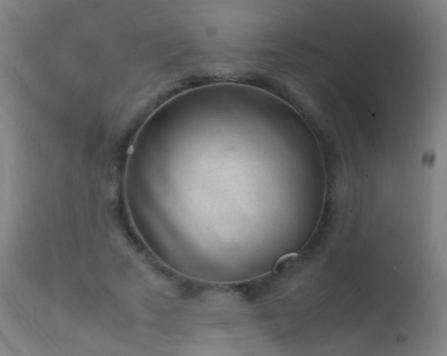 X0000113330689200909211220