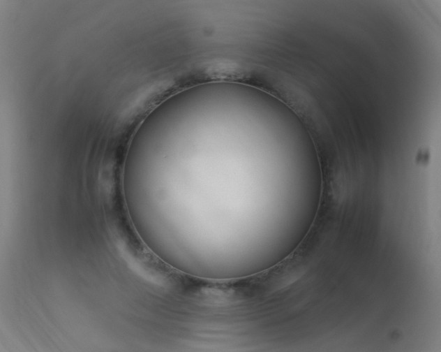 X0000113330690200909211220
