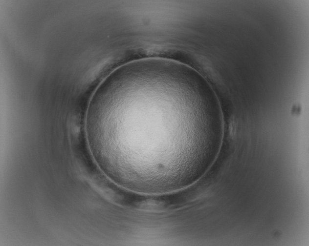 X0000113330691200909211220