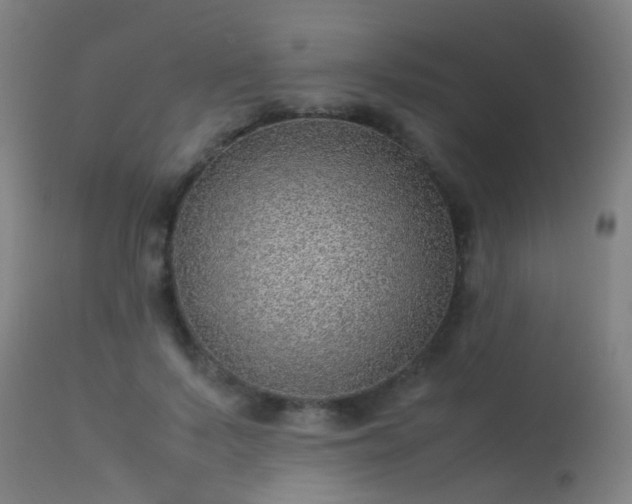 X0000113330695200909211220