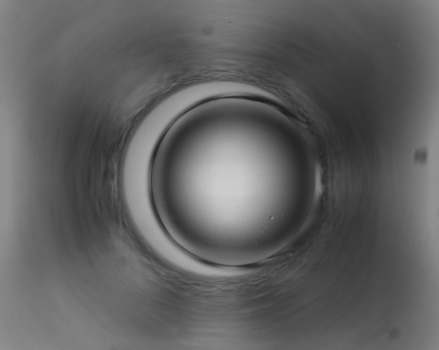 X0000113330696200909211220