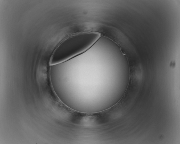 X0000113330700200909211220