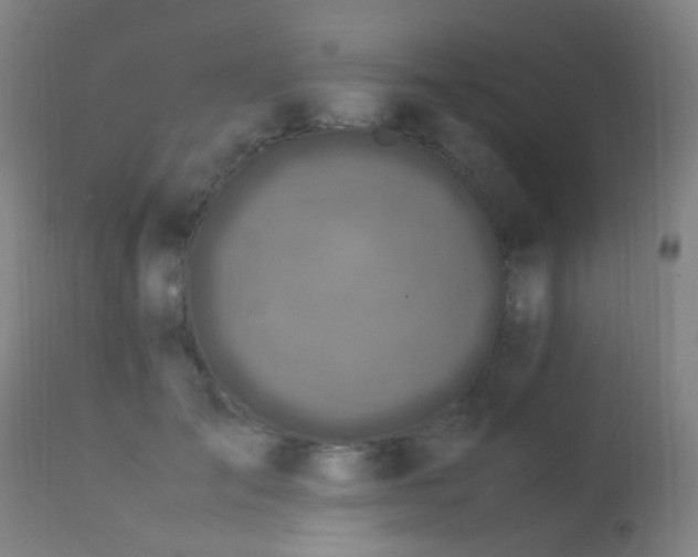X0000113330701200909211220