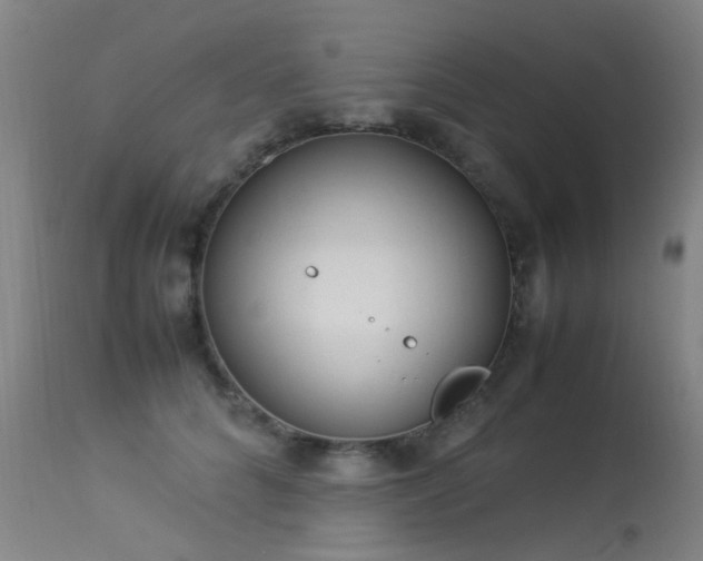 X0000113330704200909211220