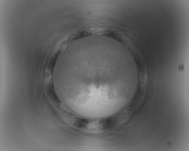 X0000113330705200909211220
