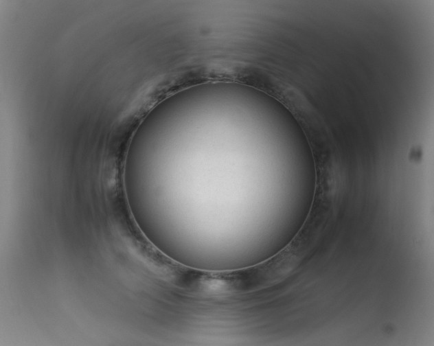 X0000113330706200909211220
