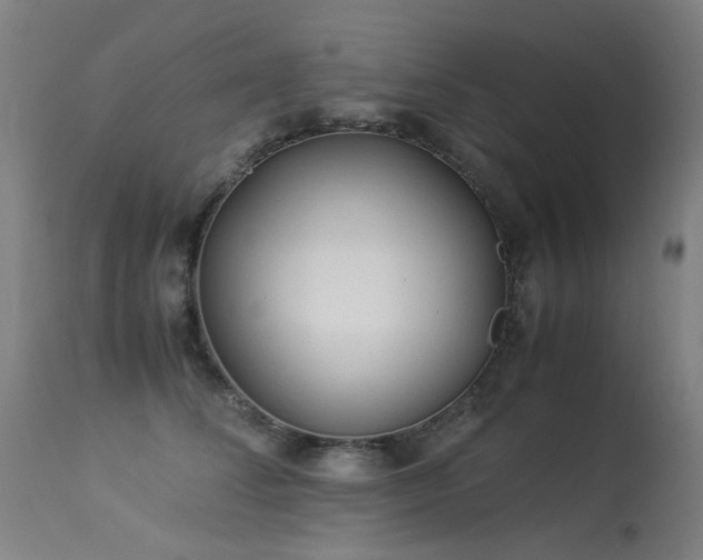 X0000113330708200909211220