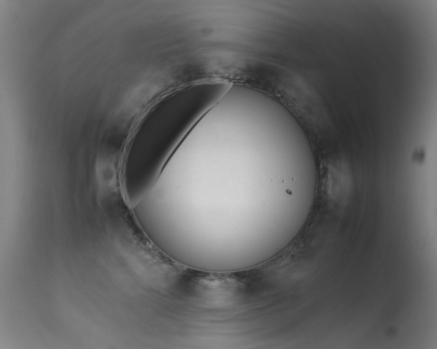 X0000113330712200909211220