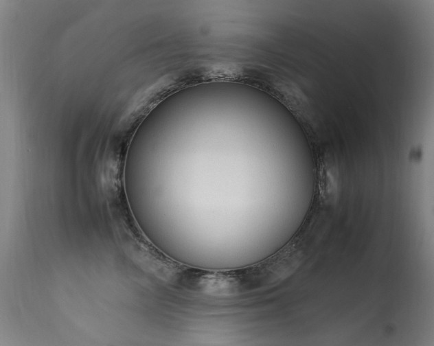 X0000113330714200909211220