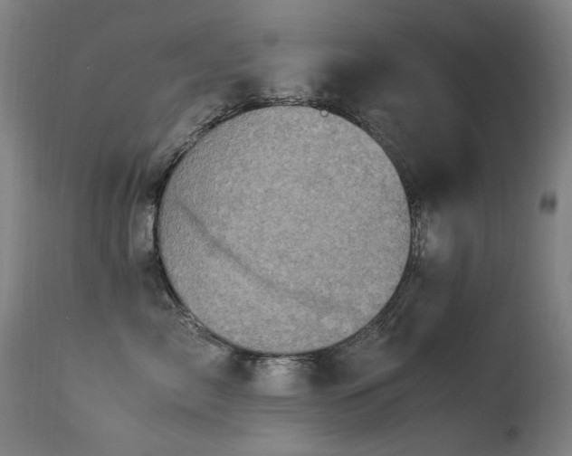 X0000113330717200909211220