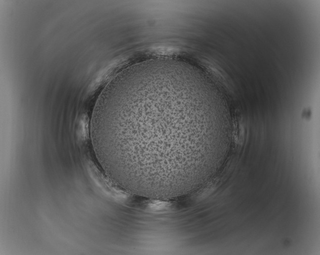 X0000113330718200909211220