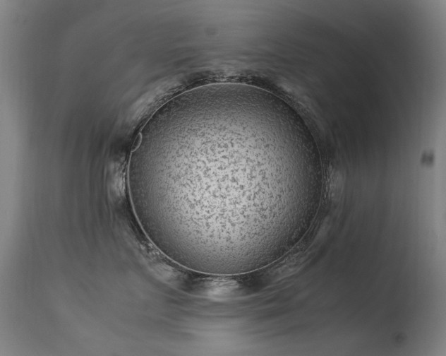 X0000113330719200909211220