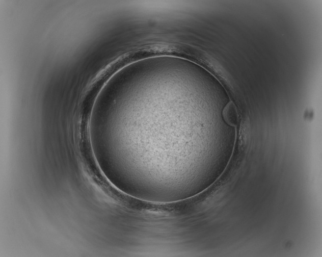 X0000113330722200909211219