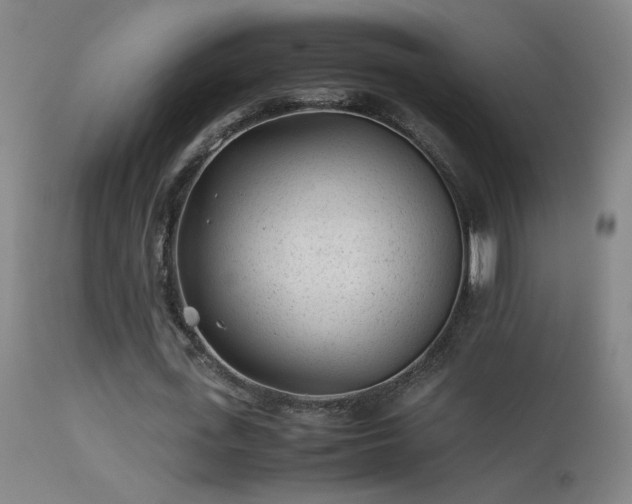 X0000113330723200909211219