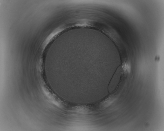 X0000113330724200909211219