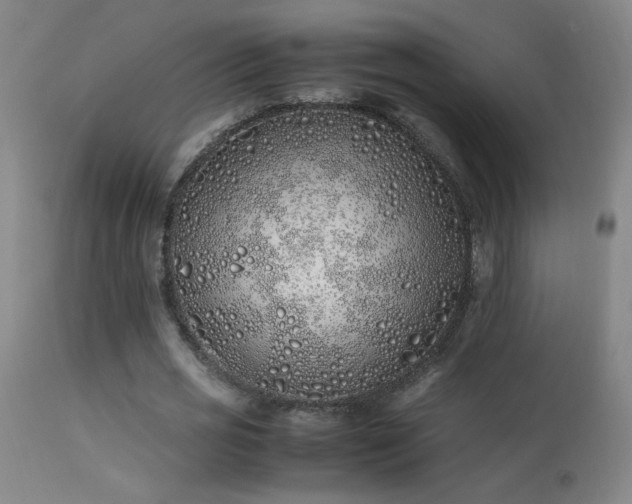 X0000113330725200909211219