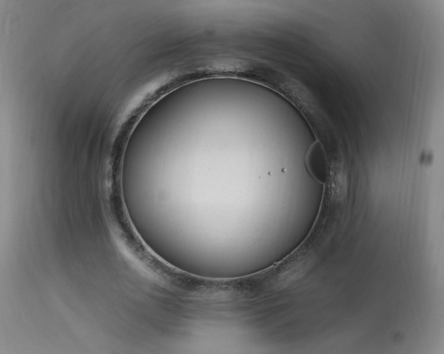 X0000113330726200909211219