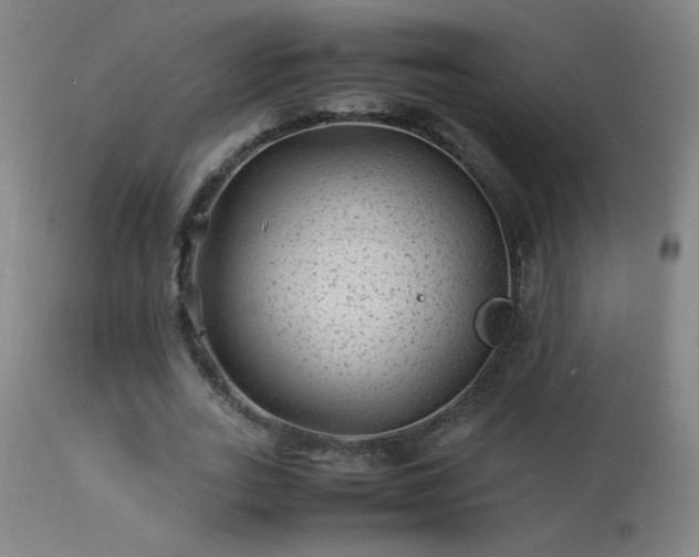 X0000113330727200909211219