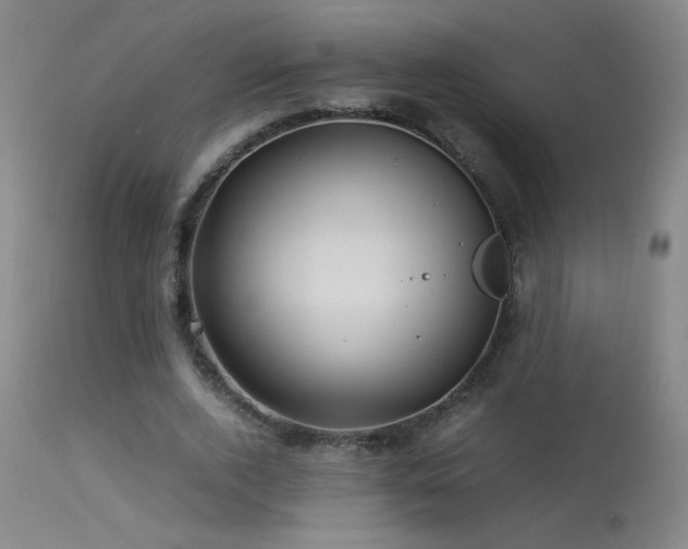 X0000113330728200909211219