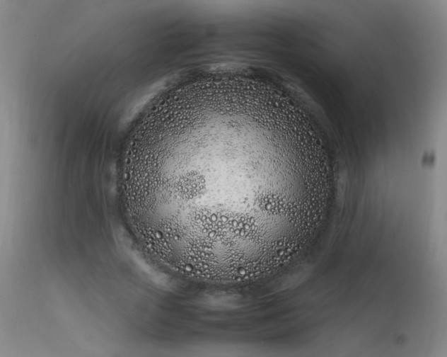 X0000113330729200909211219