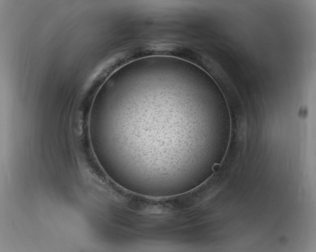 X0000113330731200909211219