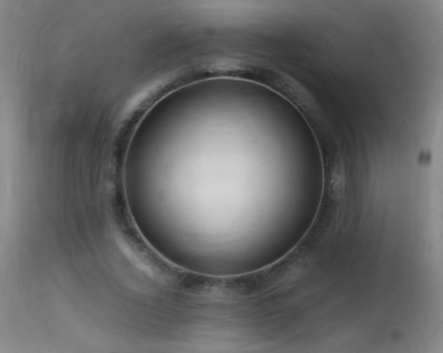 X0000113330732200909211219