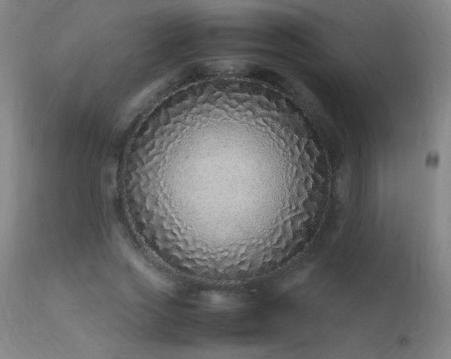 X0000113330733200909211219