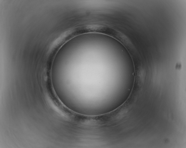 X0000113330734200909211219
