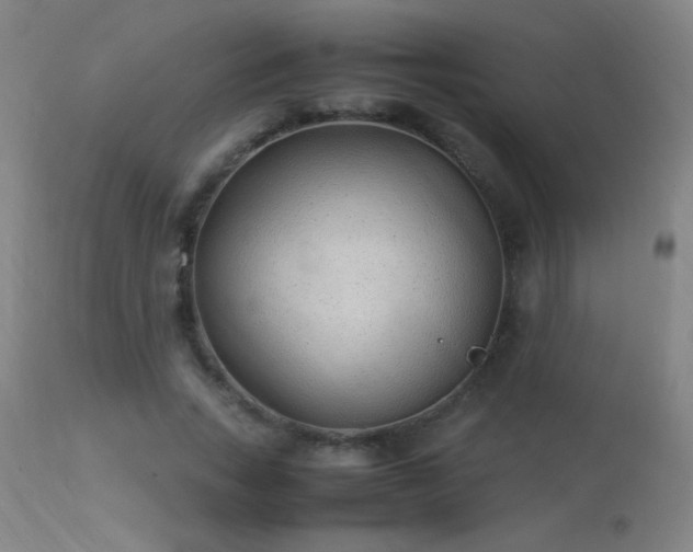 X0000113330735200909211219
