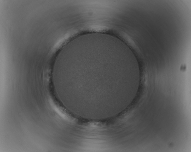 X0000113330736200909211219