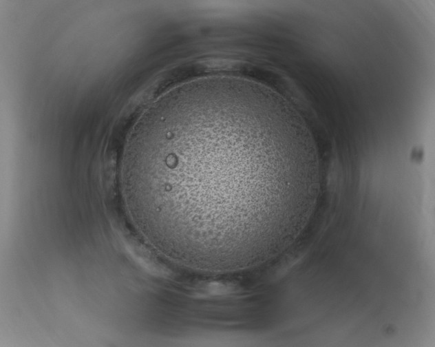X0000113330737200909211219