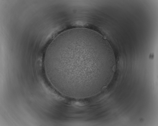 X0000113330739200909211219