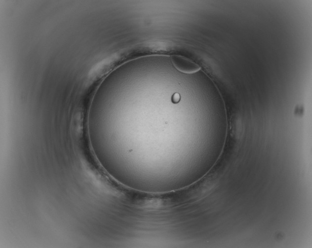 X0000113330740200909211219