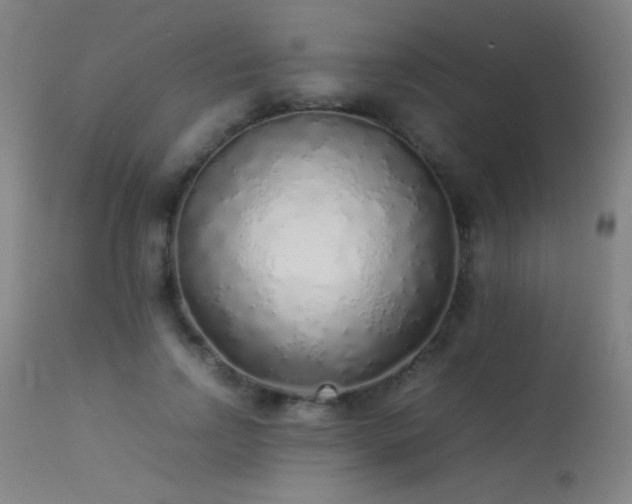X0000113330742200909211219