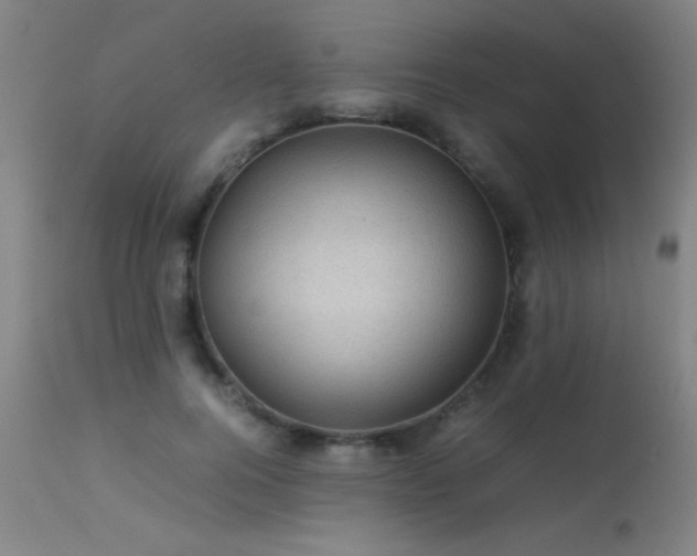 X0000113330744200909211219