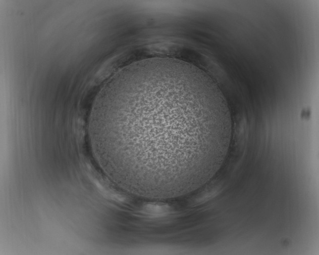 X0000113330749200909211219