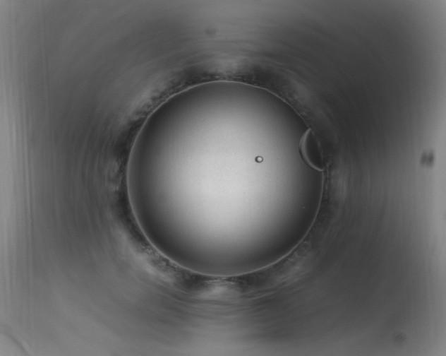X0000113330750200909211219