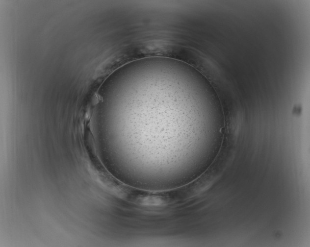 X0000113330751200909211219