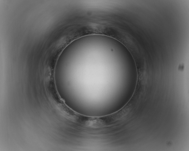 X0000113330752200909211220