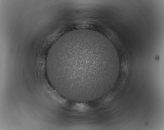 X0000113330753200909211220