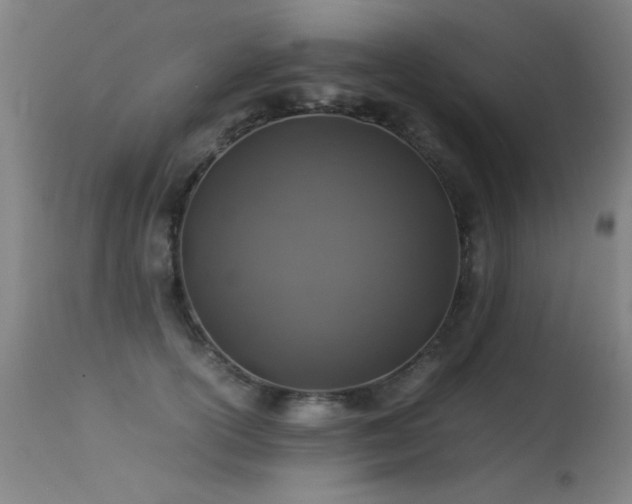 X0000113330754200909211220