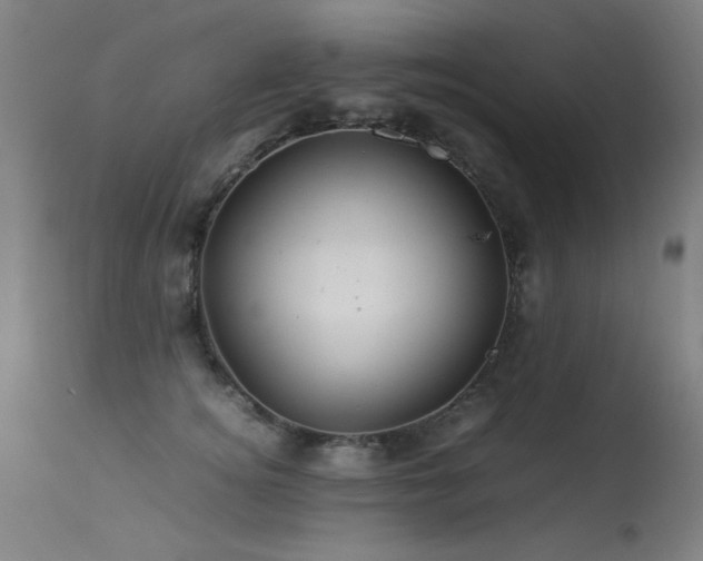 X0000113330756200909211220
