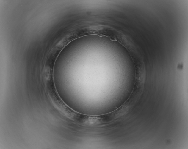 X0000113330758200909211220