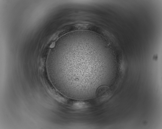X0000113330759200909211220