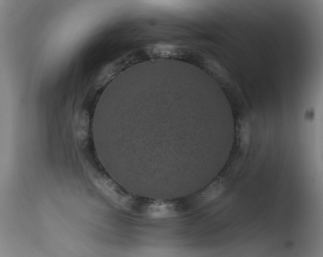 X0000113330760200909211220
